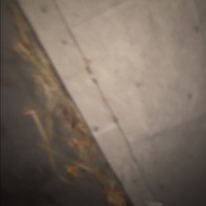 Meet your Posher, Ethan